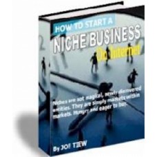How to start a niche business on the internet PDF ebook